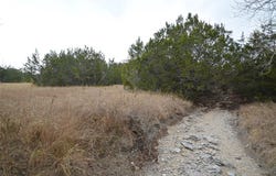 3688 E FM 2942 Street, Lometa, TX 76853
