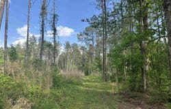 Hwy 67, Malvern, AR 72104