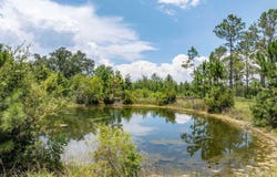 17362 90th Terrace, Live Oak, FL 32060