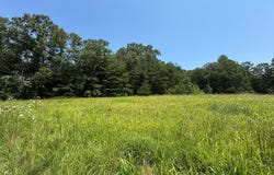 Duck Pond, Appomattox, VA 24522