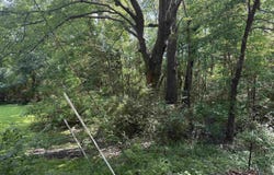000 NE Third Street, Bryant, AR 72022