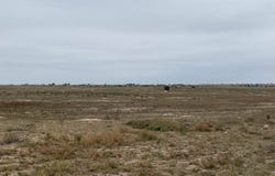 Hwy 52, Wiggins, CO 80654