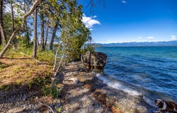 396 N Juniper Bay Road unit: 10, Somers, MT 59932