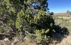 Tbd S Skyline Drive, Eagar, AZ 85925