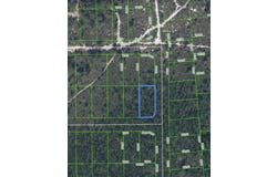 1456 BITTERSWEET STREET, LAKE PLACID, FL 33852
