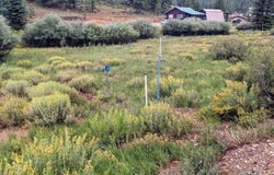 175 N Apollo Trail, Duck Creek, UT 84762