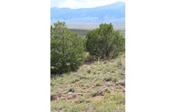 1009 Taos Tr, Westcliffe, CO 81252