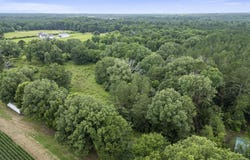 Lewis Prestage Road, Pelahatchie, MS 39145