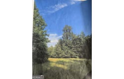 0 Apt-To-Miss, Monticello, GA 31064