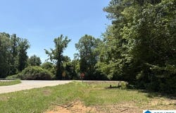 HIGHWAY 191 lot: 1, MAPLESVILLE, AL 36750