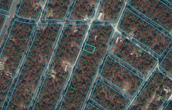 NE 155TH Court, WILLISTON, FL 32696
