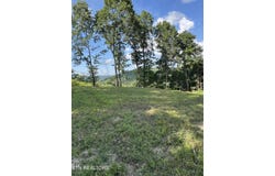 Cole Hollow Rd, New Tazewell, TN 37825