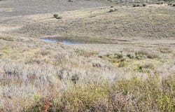 Tbd Divide (Mont's Draw) Road, Gateway, CO 81522