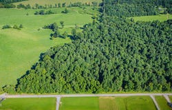 3703 Old Snapps Ferry Road, Limestone, TN 37681