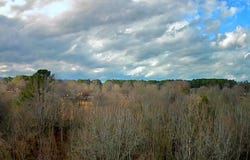 0 Lyle Jones Parkway, LaFayette, GA 30728