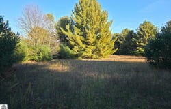 10 VL Betsie River Road, Interlochen, MI 49643
