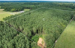Parcel C J Runnels Rd, Petal, MS 39465