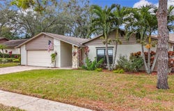 3005 ENISGLEN DRIVE, PALM HARBOR, FL 34683