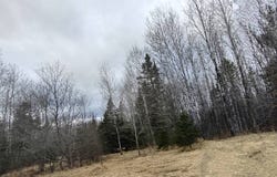 TBD  US 2 Highway, Marenisco, MI 49947