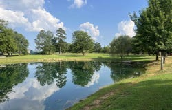 1020 County Road 92, Cedar Bluff, AL 35959