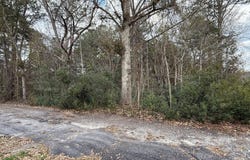 6 Dan Drive, Dale, SC 29914