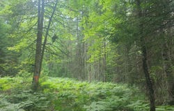 US-131, SW, Kalkaska, MI 49646