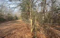 Fawn Ridge Lane, Williford, AR 72482