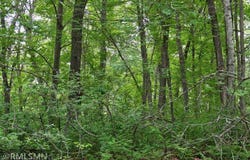 1161 65th Avenue, Lincoln Twp, WI 54001