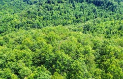 0 Hickory Hill Circle, Duff, TN 37729