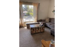 926 W Young St, Pocatello, ID 83204