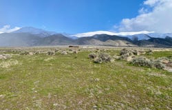 11555 Brooks Canyon Road, Lovelock, NV 89419