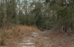 5206 SW 57Th Court, Jasper, FL 32052