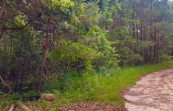 11400 Henderson Camp Road, Mobile, AL 36541