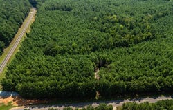 Fortune Hole Road, Hamilton, GA 31811