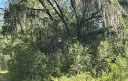 5856 Martin Street, Ravenel, SC 29470