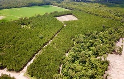 0 Lechner Rd., Robertsdale, AL 36567
