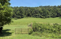 Tbd Walker Mountain Road, Bristol, VA 24201