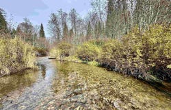 281 Four Dog Ln, Cusick, WA 99119