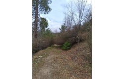 0 Pine Drive, Cedar Glen, CA 92321