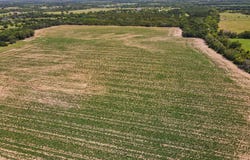 81.3+/- Acres SW Boyer Rd., Augusta, KS 67010