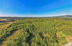 307 RC Road, Traphill, NC 28685