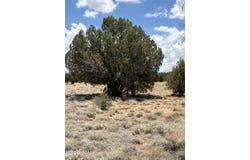 19 County Road 8230, Concho, AZ 85924