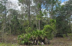 1012 KODIAK Avenue, LEHIGH ACRES, FL 33974
