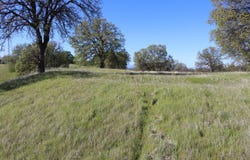 Lot 80 Pimlico Court, Cottonwood, CA 96022