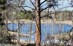 1001 Fox Acres Dr E, Red Feather Lakes, CO 80545