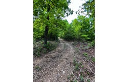 Gatewood Mo, Gatewoood, MO 63942