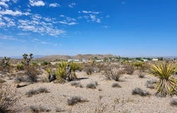 Cottonwood Cove Road, Searchlight, NV 89046