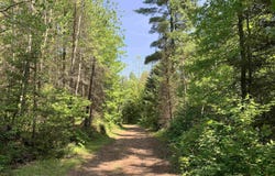 tbd N River, Gwinn, MI 49841