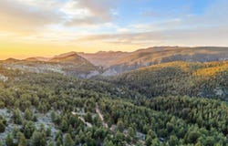 609 Old Townsite Rd, Boulder, CO 80302