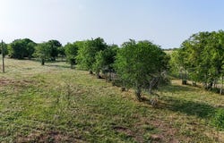 1504 Texas 237, Burton, TX 77835